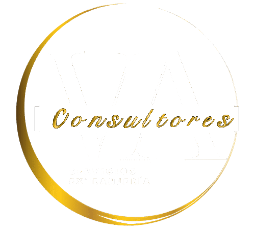 vaconsultores.eu